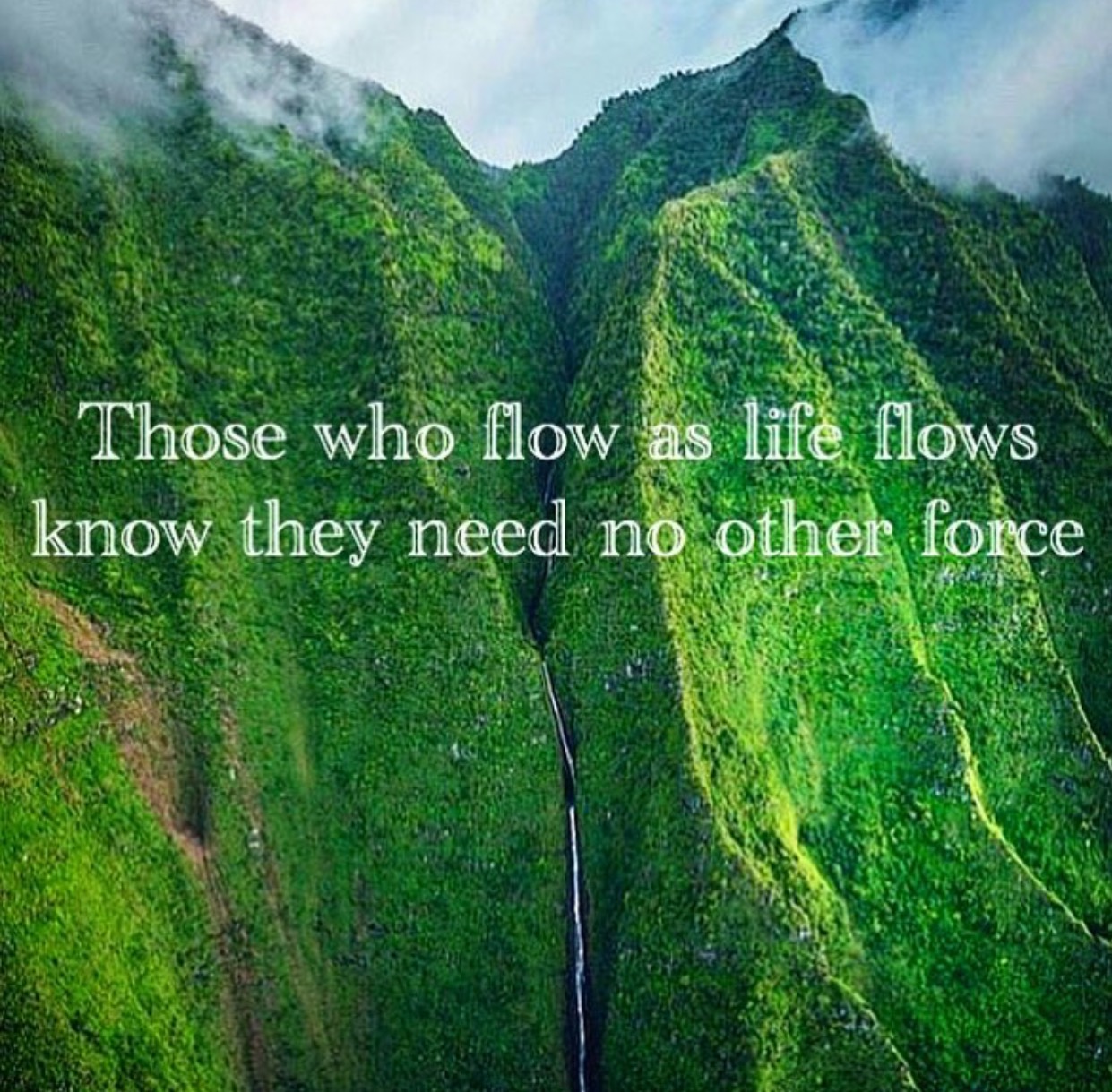 Flow of Life Quote